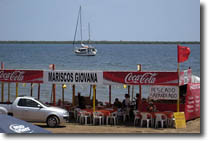  Wand'rin Star Altata