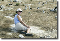 Dorothy and the Boobies