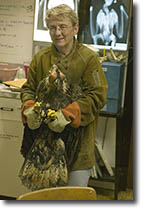 Alaska Raptor Center