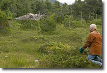 Alaska Raptor Center
