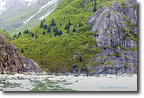 Tracy Arm 