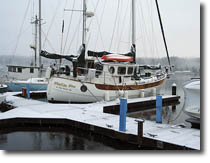 Wand'rin Star in Snow