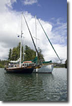 Wand'rin Star and Cassiar II Rafted