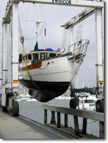 Wand'rin Star out of the water