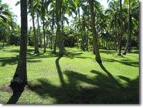 Hawaii, the big island